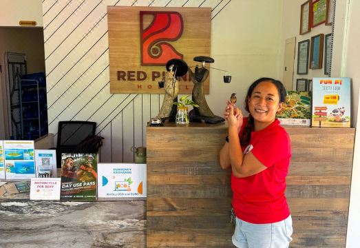 레드 피크닉 호스텔 수영장 시설