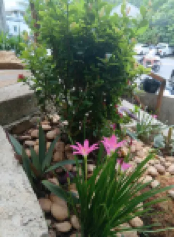 Infinity Boutique Hotel Kata Beach Hotels near Big Buddha