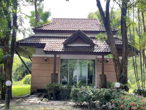 ห้องดีลัก ควีน 1ห้องนอน วังธารา 2,3