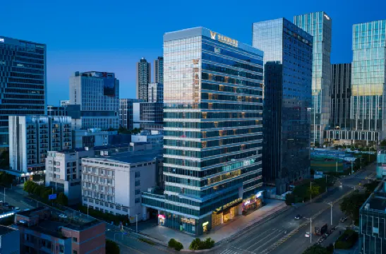 Vienna International Hotel (Shenzhen Baolong Metro Station)