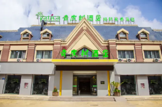 Vatica Hotel (Lingbi Zhongling Avenue) Hotels near Lingbi Zhong Kui Cultural Park