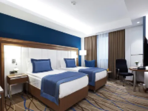 Dedeman Kayseri Kayseri otelleri