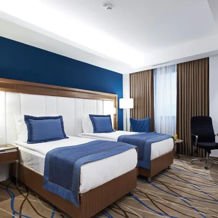 Dedeman Kayseri
