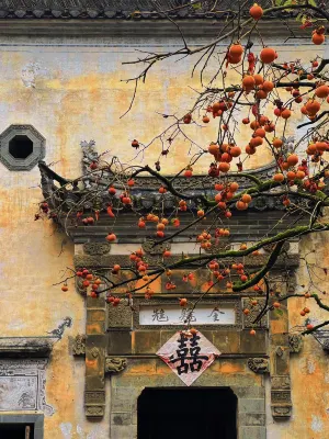 Zi Yunjian Homestay (Wuyuan Huangling Scenic Area Branch) Các khách sạn gần Huang Hill