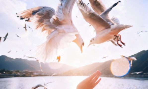 Crowne Plaza KUNMING ANCIENT DIAN TOWN by IHG