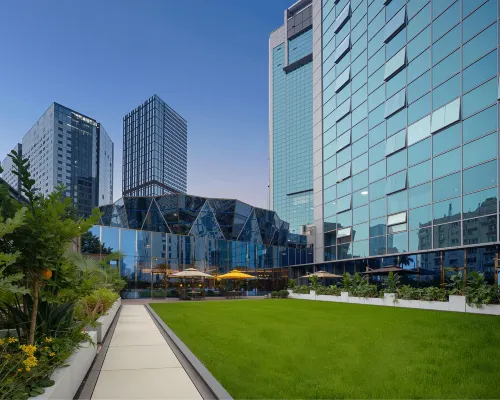 voco Chengdu Chunxi Road Избранное Photos