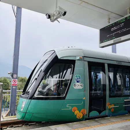Qingcheng Mountain Wuyou Yuanzi Hot Spring Hotel (Qingcheng Mountain High speed Railway Station)