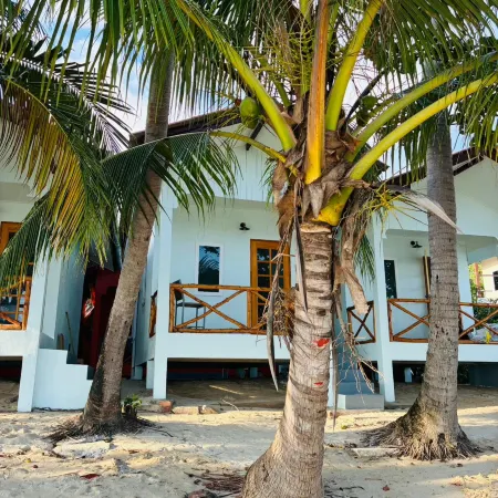 Lamai Beachnest Bungalows