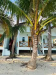 Lamai Beachnest Bungalows
