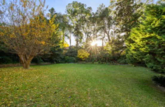 Tranquil & Comfortable Rooms – Easy Walk to Train & Park