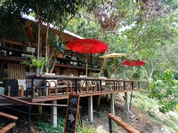 The ForRest Peace Forest (Mae Kampong) - navetta aeroportuale