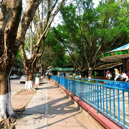 Huifulishu (Bolu Yuanzhou Rixin Electronic Technology Store)