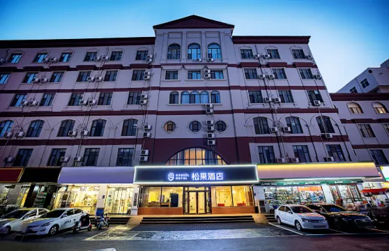 松果酒店（安陽人民大道六中店）