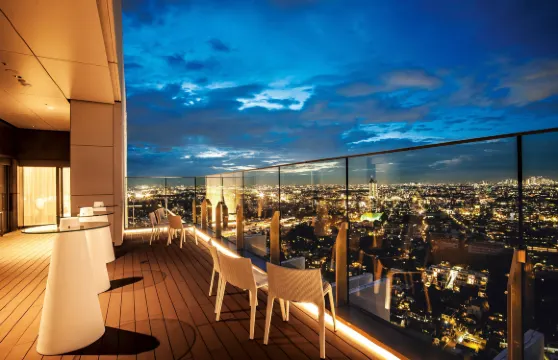 東急二子玉川卓越大酒店