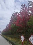 Meihekou Xingang Yuanmeng Homestay