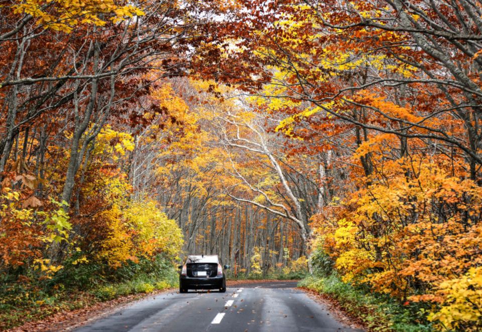 4. 료칸 하코우다 ..