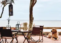 Jianshui Conch Tent Homestay 숭무 고성 주변 호텔