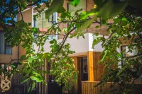 Xi Cen: A Visit to the Stone-Hidden Garden