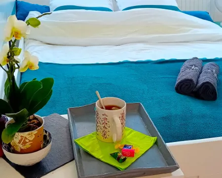 New Studio/Near Airport CDG/Direct Paris center/Disneyland/Villepinte EXPO Hotels in Tremblay En France