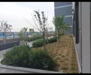 반달섬드림스테이/오이도벚꽃여행/안산시화호 노을