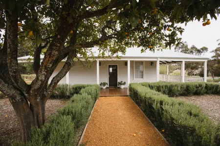 Ampersand Estates Luxury Cottage Nestled in National Forest