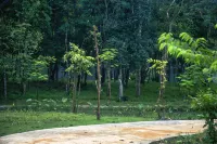 Anuksa Lodge Chi Phat - 別墅