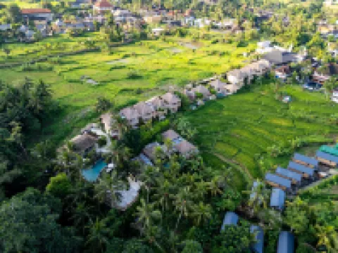 Mesari Hotel Ubud