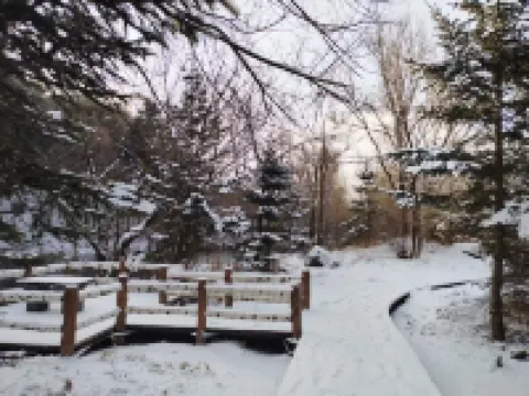 向野拾間民宿度假酒店（長白山高鐵站店）