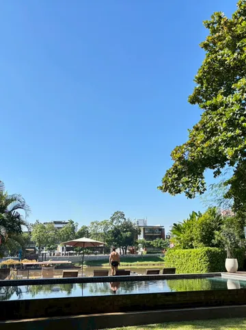 รูปภาพของไอริเวอร์ เชียงใหม่