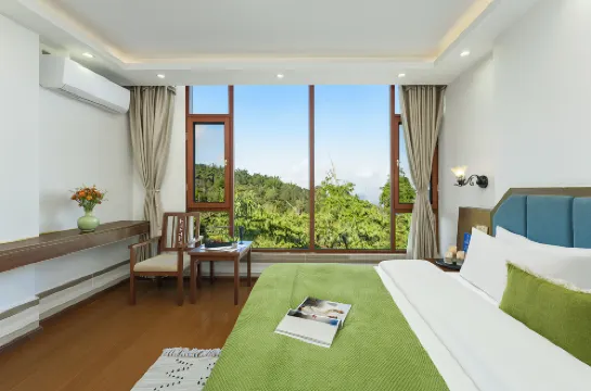 JJingquan | Elegant Tea Forest Environment・TeaInn Inn