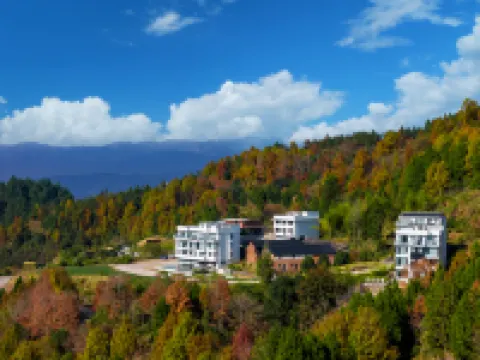 Xian Ju Bu Bu Shan Su (Oil Bottle Science Store)