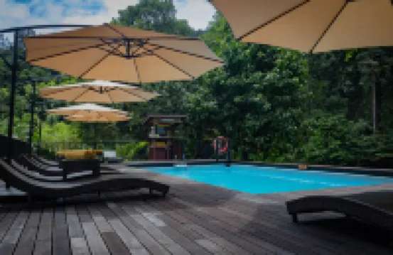 Borneo Rainforest Lodge