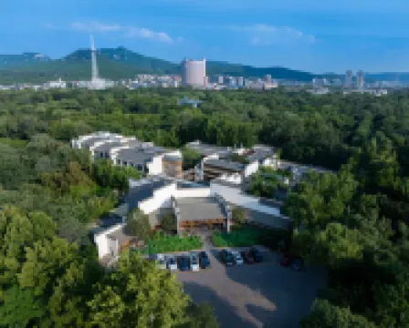 Blossom & Resorts · Shunlu Hotels near Qianfoshan