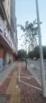 Aline Hotel