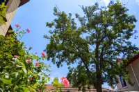 Huaitingli LocusTree Vacation Apartment (No.1 Bathing Beach)