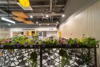Drifting Bear Hotel (Sijiqing Bridge Subway Station) - bars