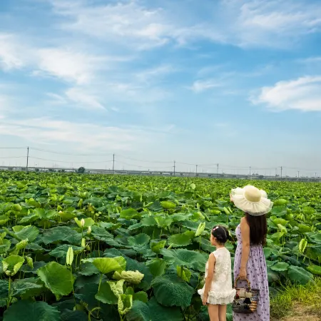 Lujiang Xidi Aranya Boutique Stay