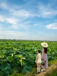Lujiang Xidi Aranya Boutique Stay - Romantisk