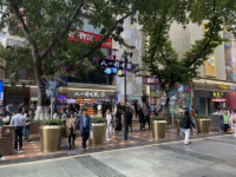 Elysee Sky Hotel (Chongqing Jiefangbei Hongyadong Store)