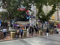 엘리제 스카이 호텔 (충칭 제팡베이 홍야동 지점)