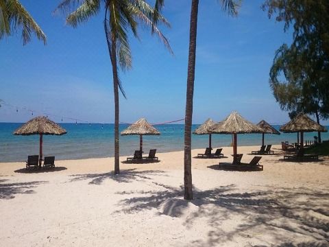 코스모스 편의시설