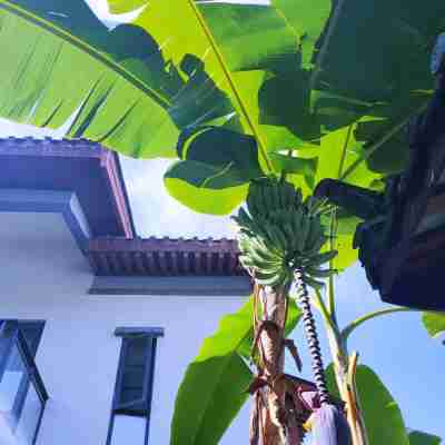 興義趙莊度假酒店 Hotel Exterior