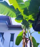 興義趙莊リゾートホテル 新坪田駅周辺のホテル