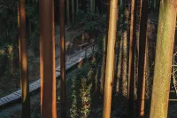 Tireless Forest Hiking Chill Private Hot Spring Homestay - Mountain view