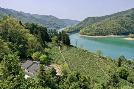 Mount Huangshan TeaGardenBnB Отели рядом с достопримечательностью «Taiping Lake»