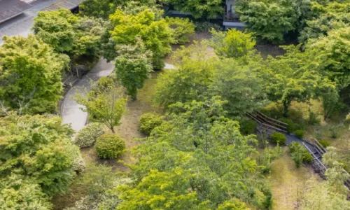 Gyokusui -Adult Only-