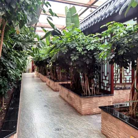 Xinyue Hotel