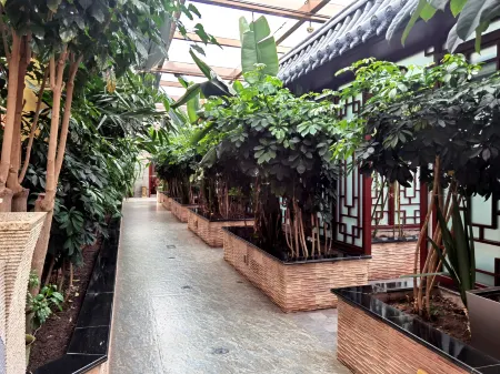 Xinyue Hotel Отели в г. Линьтань