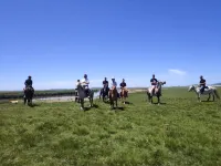Tangke Pushé Xingxiu