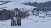 Pengyou Mountain Homestay (Baihaba New Village Store) Hotels in Habahe